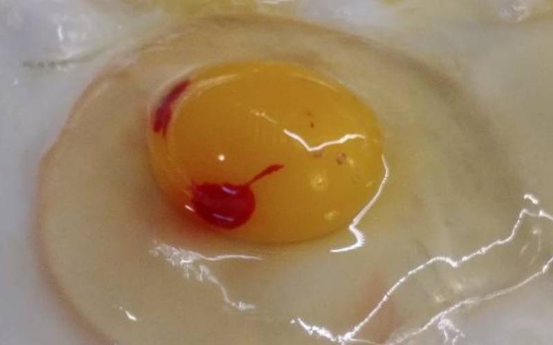 Blood in Egg White Meaning Superstition