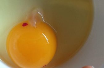 Spiritual Meaning of Cracking a Bloody Egg