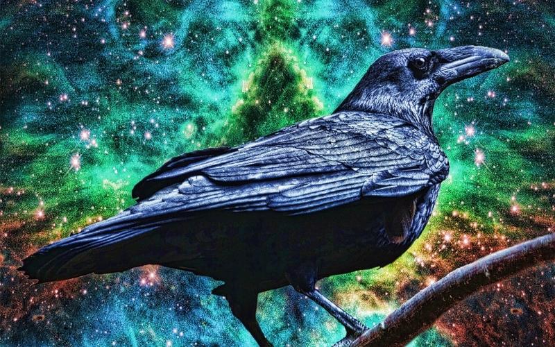 Raven Crow