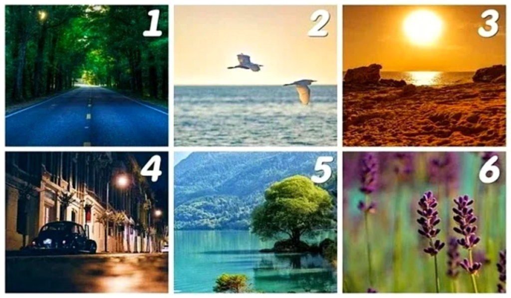 Choose an Image And Discover What Will Bring You The Most Happiness In Life