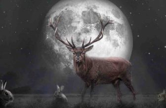 How The December Full Moon Will Affect You, According To Your Zodiac Sign