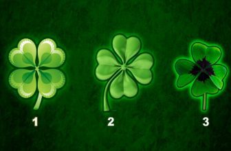 Discover What Fate Has In Store For You by Choosing a Lucky Four-Leaf Clover