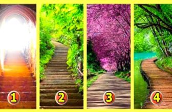 Which Path Will You Choose to Follow Here’s What Your Choice Means