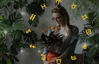 The Perfect Houseplant for You, According to Your Zodiac Sign