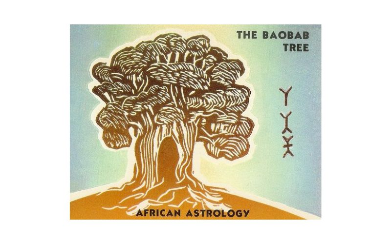 Father (The Baobab Tree)