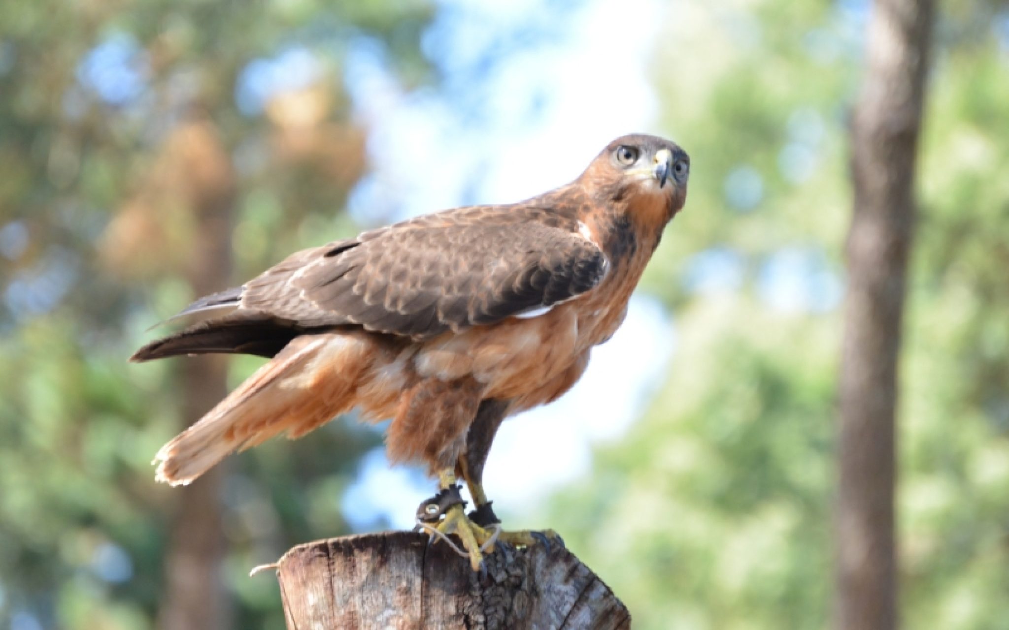 10 Most Common Good and Bad Omens You Receive While Dreaming