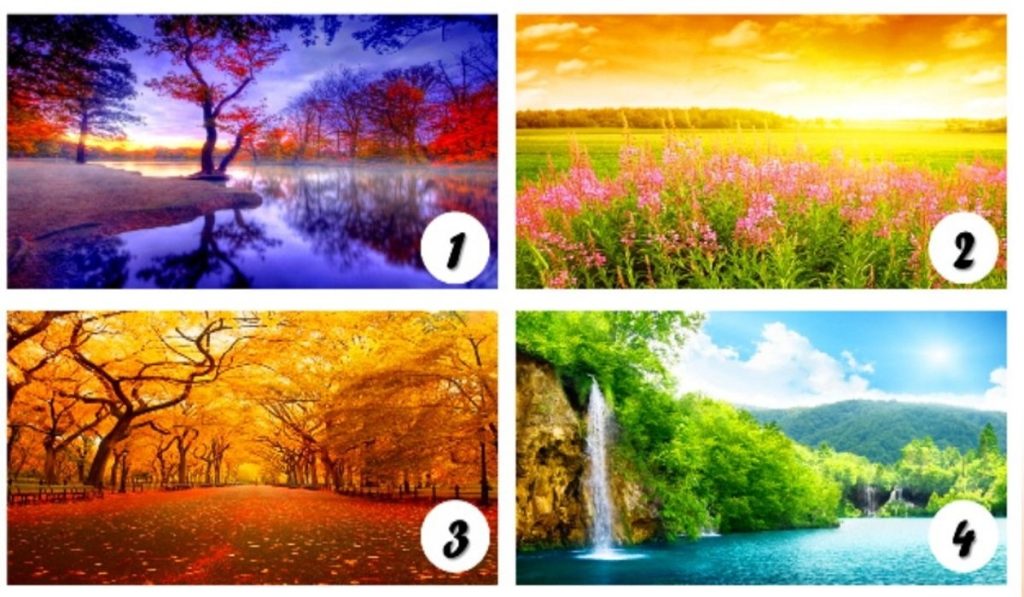 Emotional Psychology – Choose Your Favorite Landscape and Be Amazed by its Wonderful Meaning