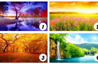 Emotional Psychology – Choose Your Favorite Landscape and Be Amazed by its Wonderful Meaning