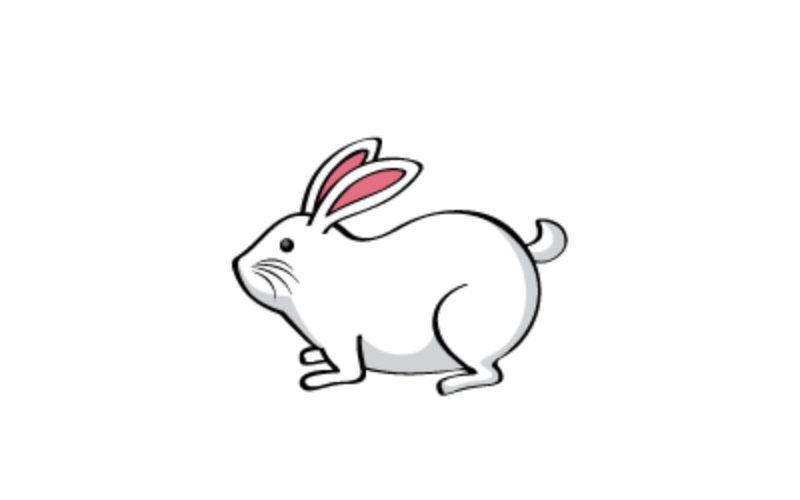 4. Rabbit (usagi)
