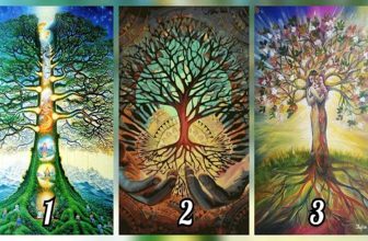 Choose a Tree of Wisdom and Discover What Powers You Inherited From Your Ancestors