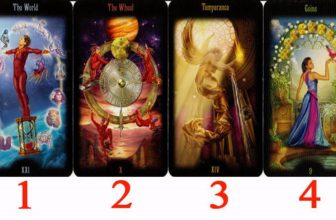 Which Card Attracts You Most Your Choice Will Show an Important Message For You