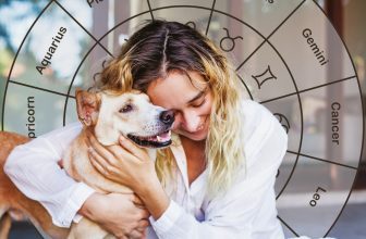 The Best Pet For You According To Your Zodiac Sign