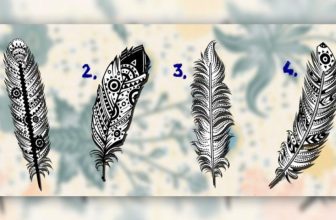 Do You Want To Know Your True Mission In Life Choose a Feather to Discover It