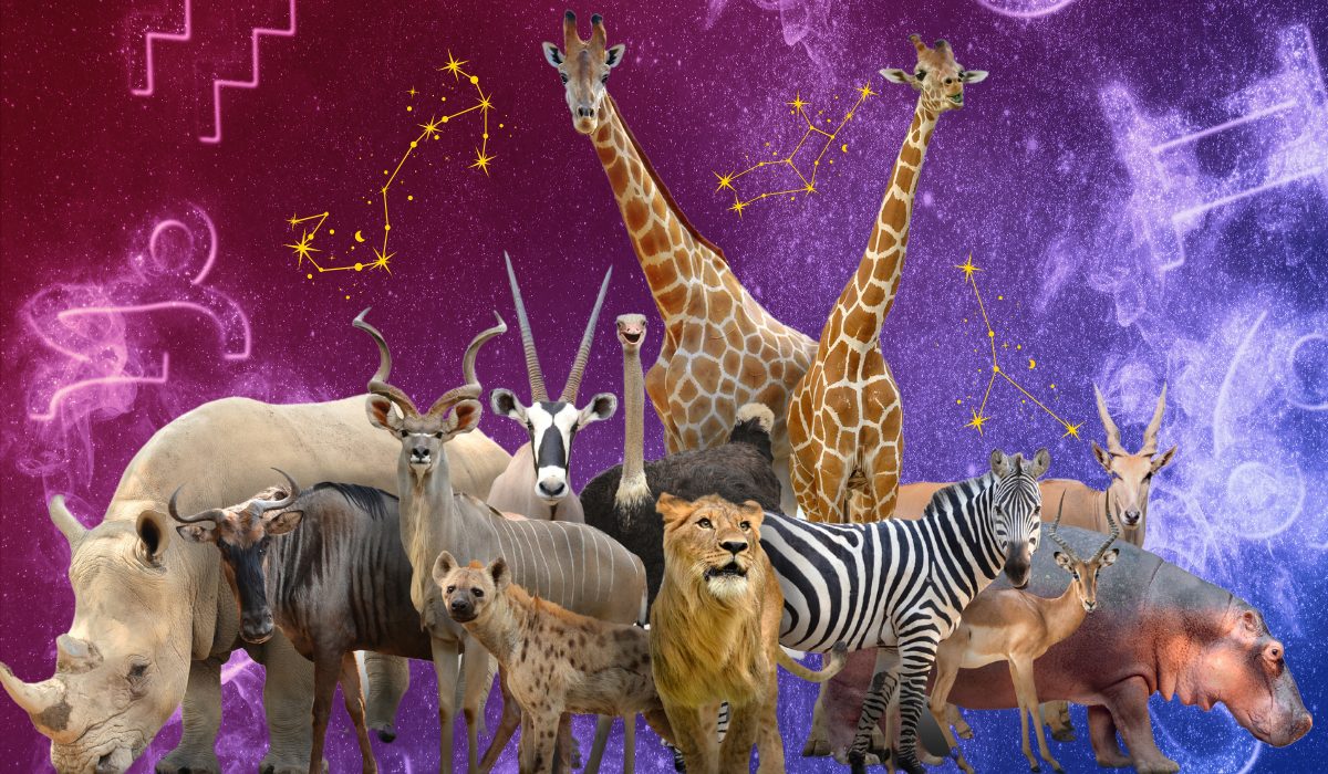 The Wild Animal That Best Represents Your Zodiac Sign's Energy