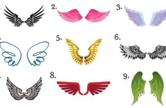 Which Wings Would you Choose Discover the Blessing that has Been Sent to You