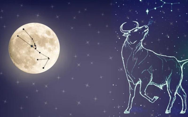 The Taurus New Moon and Creating Comfort