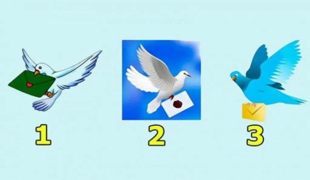 Choose a Dove and Find Out What Will Happen to You in The Next 3 Days