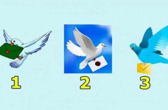 Choose a Dove and Find Out What Will Happen to You in The Next 3 Days