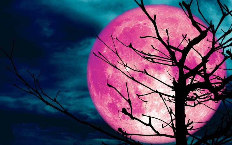 How to Use the Power of The Strawberry Full Moon June, 2023