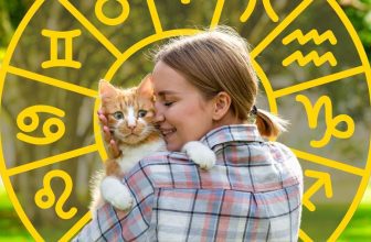 These 6 Zodiac Signs Prefer To Spend Their Time With Animals Rather Than People