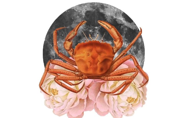 How to Use the Power of the New Moon in Cancer July 2023