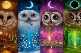 Choose One of the 4 Owls and Find Out the Truth About Yourself