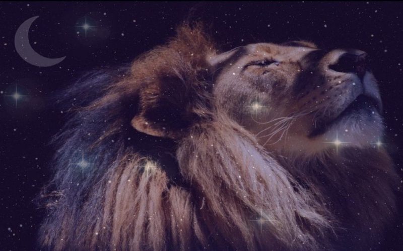 How to Use the Power of the New Moon in Leo August 2023