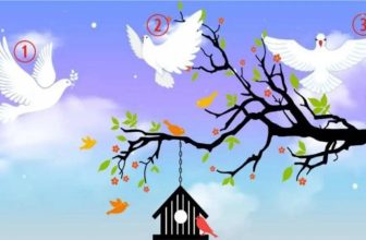 Receive a Beautiful Message of Light by Choosing a Dove of Peace