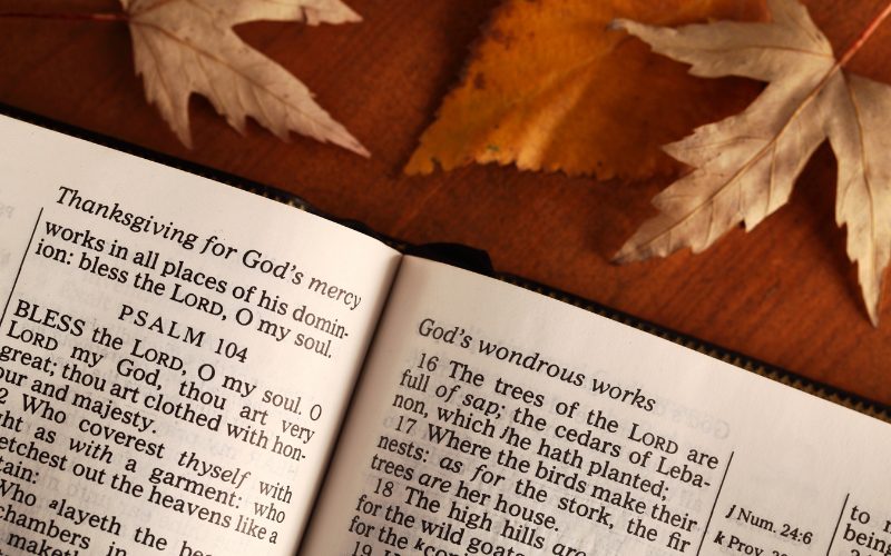 What Do Leaves Falling Mean In The Bible