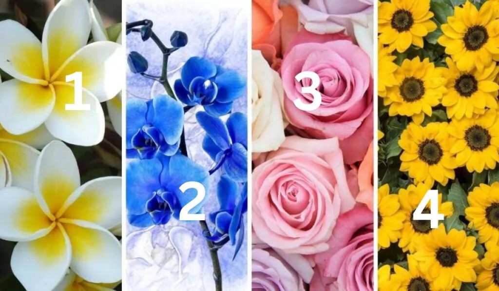 Choose a Flower and Learn More About You & Your Main Challenge