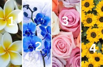 Choose a Flower and Learn More About You & Your Main Challenge