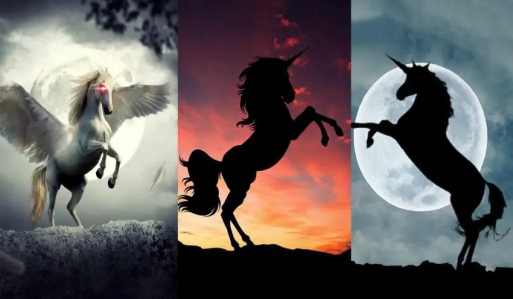 Choose the Unicorn that Attracts You the Most and Discover its Spiritual Message