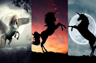 Choose the Unicorn that Attracts You the Most and Discover its Spiritual Message