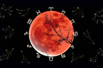 How the Final Eclipse of 2023 on October 28 Will Affect Your Zodiac Sign