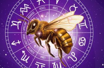 This is Your Spirit Insect According to Your Zodiac Sign