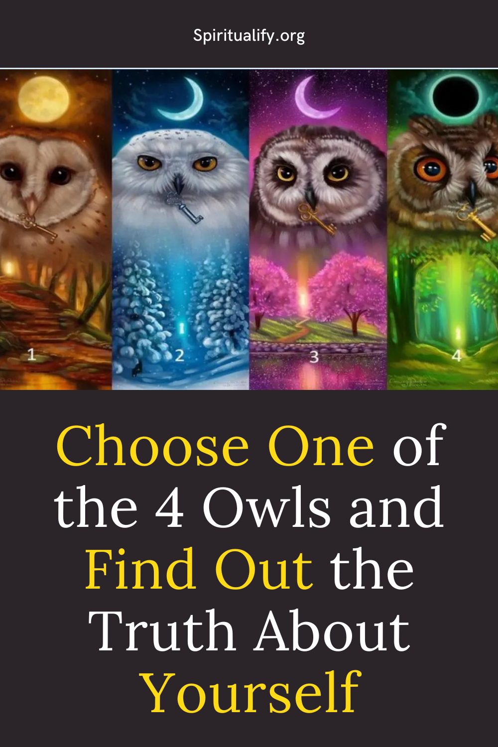 Choose One of the 4 Owls and Find Out the Truth About Yourself Pin