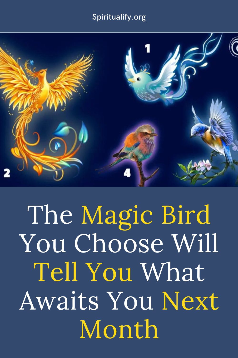 The Magic Bird You Choose Will Tell You What Awaits You Next Month Pin