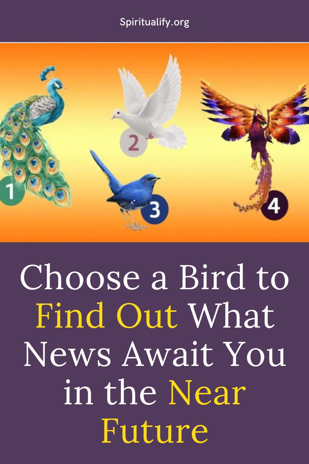 Choose a Bird to Find Out What News Await You in the Near Future Pin