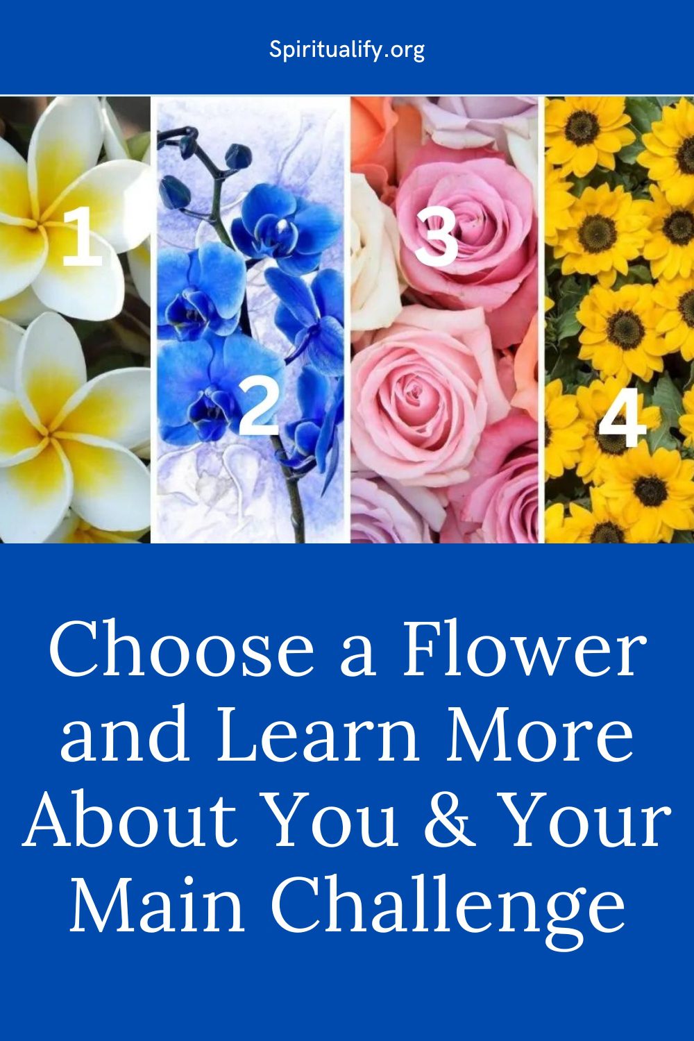 Choose a Flower and Learn More About You & Your Main Challenge Pin