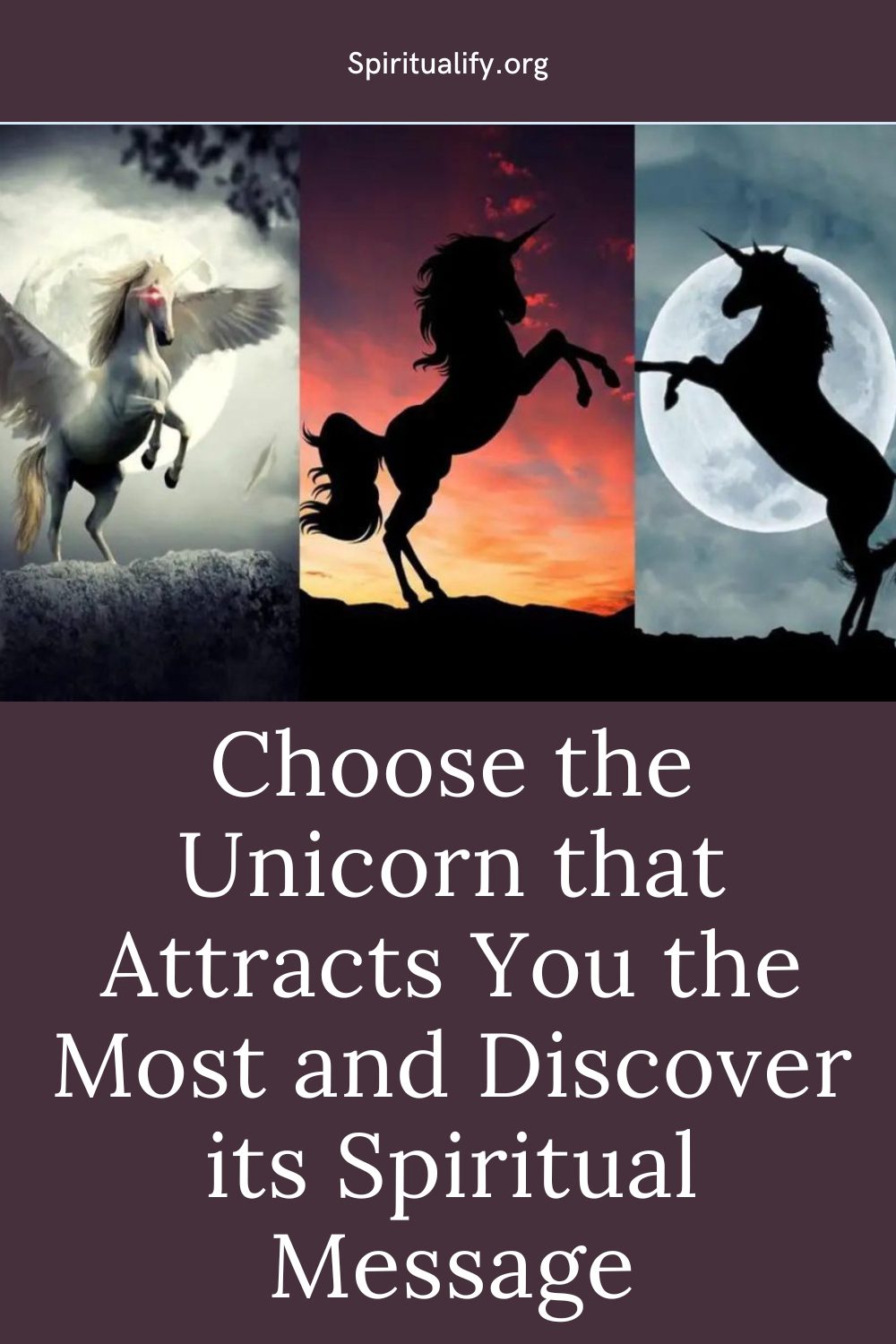 Choose the Unicorn that Attracts You the Most and Discover its Spiritual Message Pin