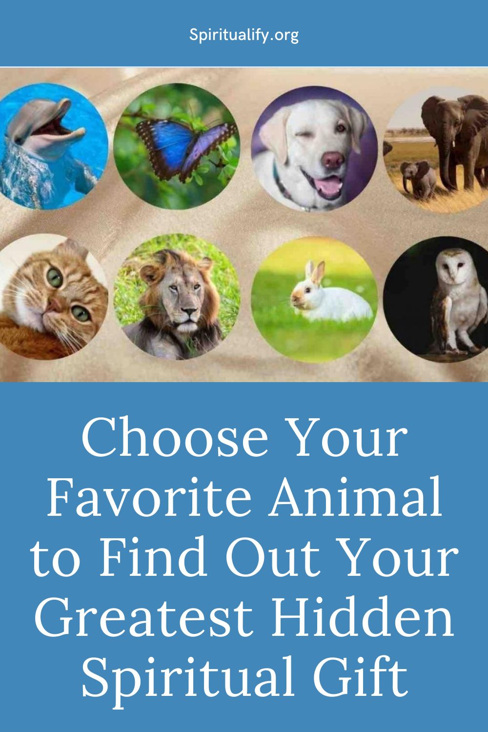 Choose Your Favorite Animal to Find Out Your Greatest Hidden Spiritual Gift Pin