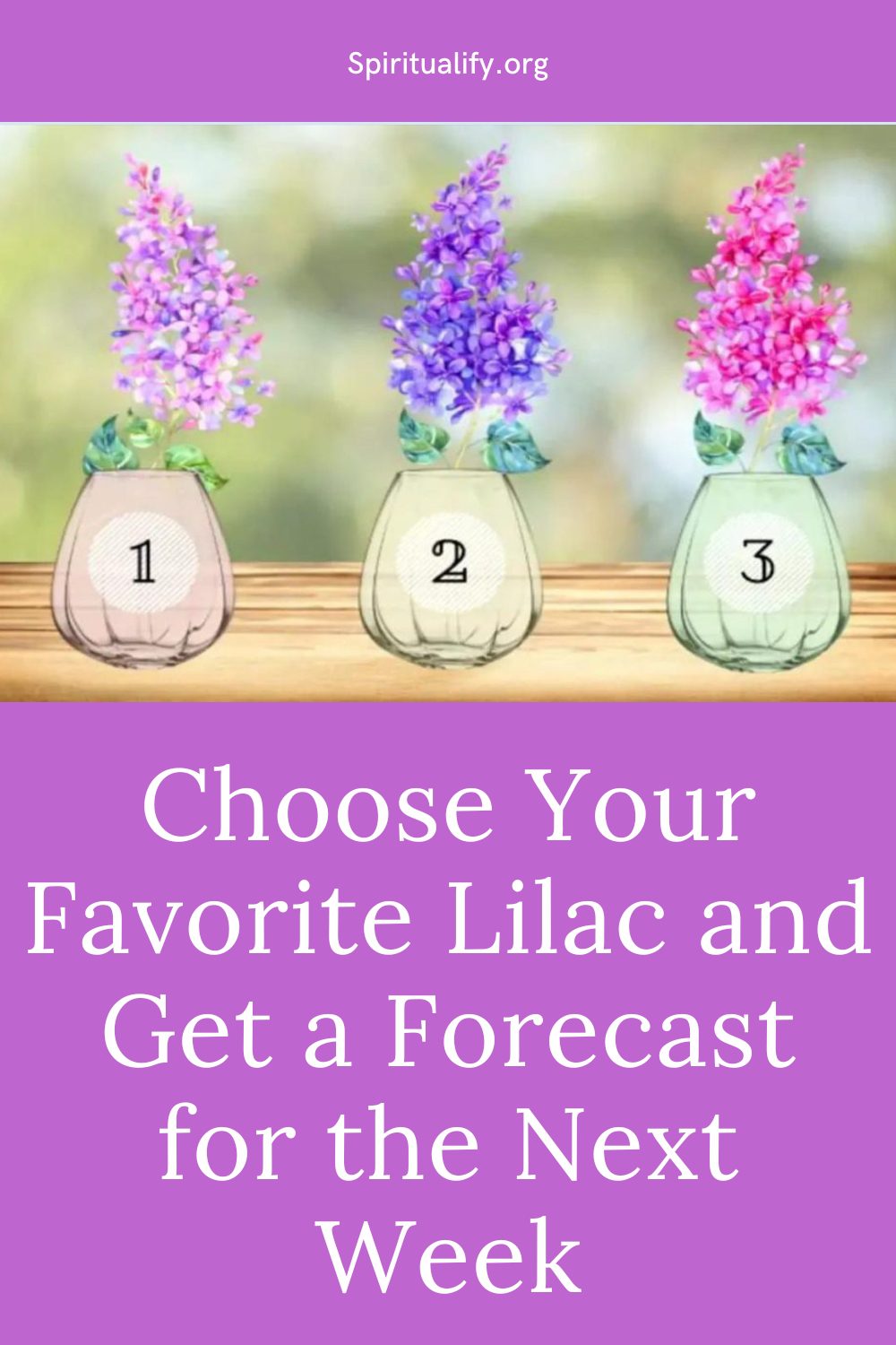 Choose Your Favorite Lilac and Get a Forecast for the Next Week Pin