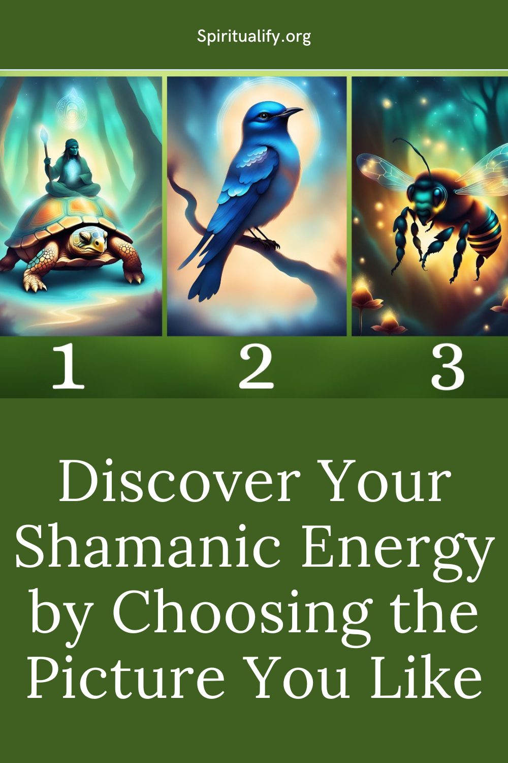 Discover Your Shamanic Energy by Choosing the Picture You Like Pin