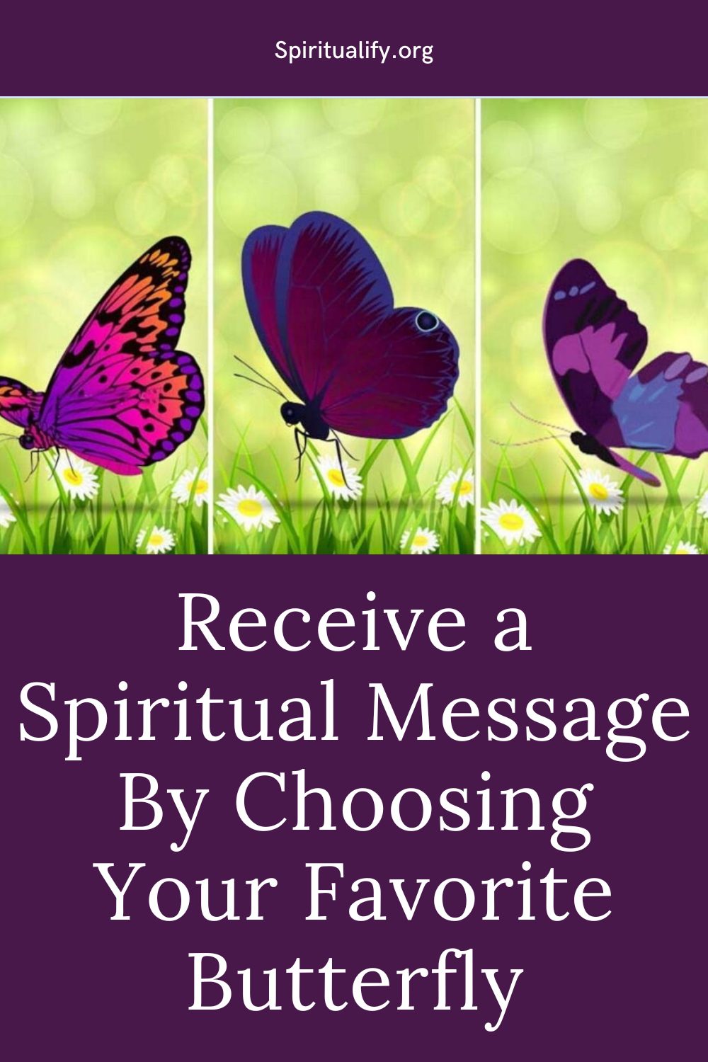 Receive a Spiritual Message By Choosing Your Favorite Butterfly Pin