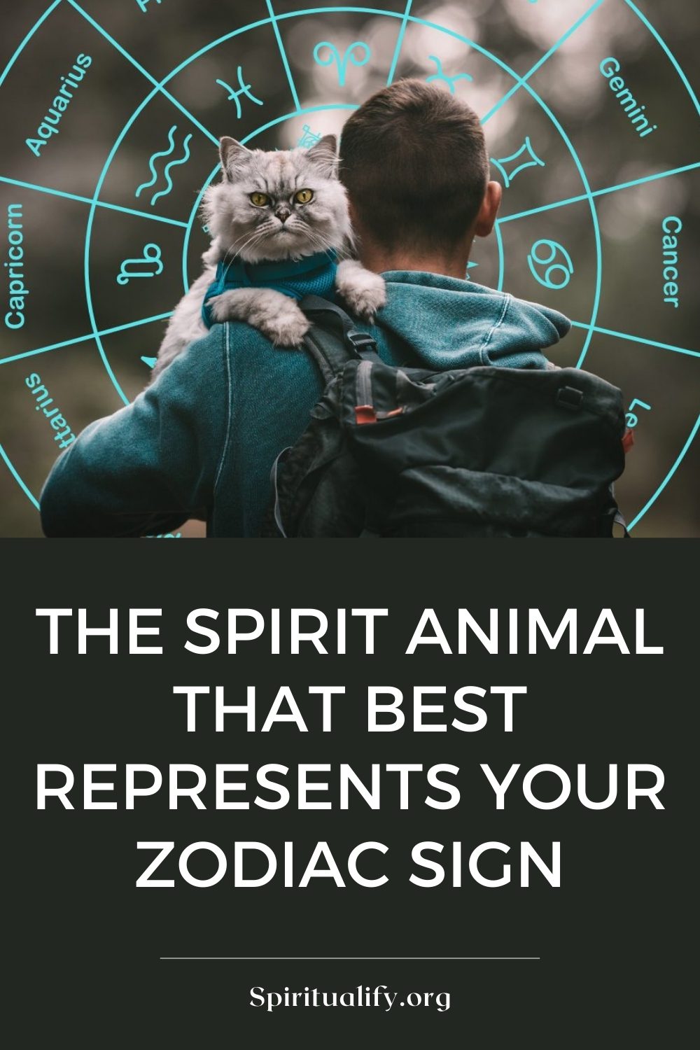 The Spirit Animal That Best Represents Your Zodiac Sign Pin