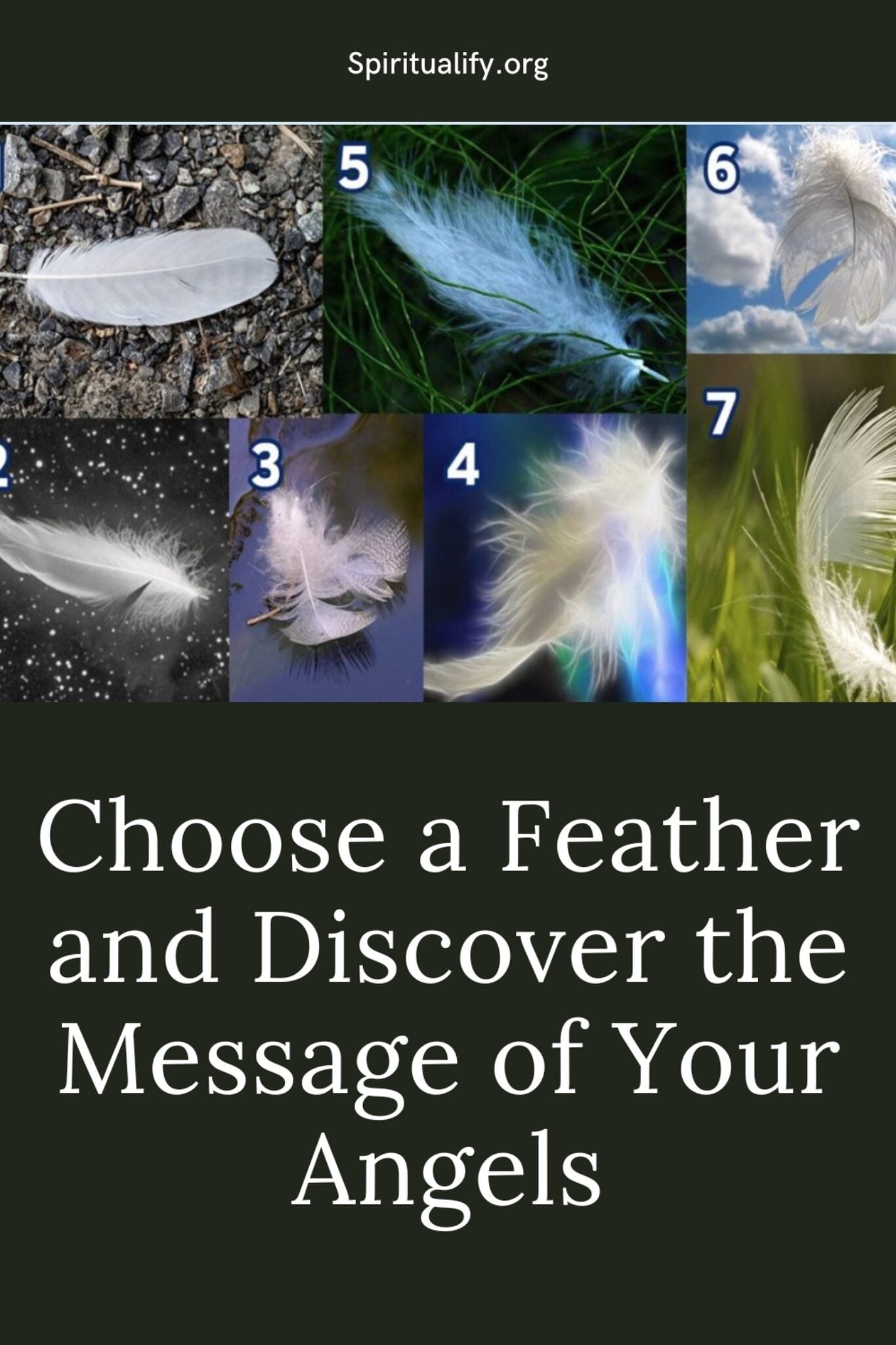 Message Feather Choose a Feather and Discover the Message of Your Angels