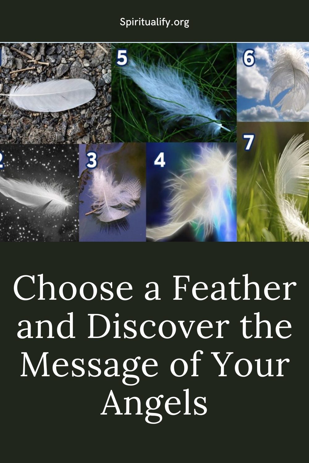 Choose a Feather and Discover the Message of Your Angels Pin