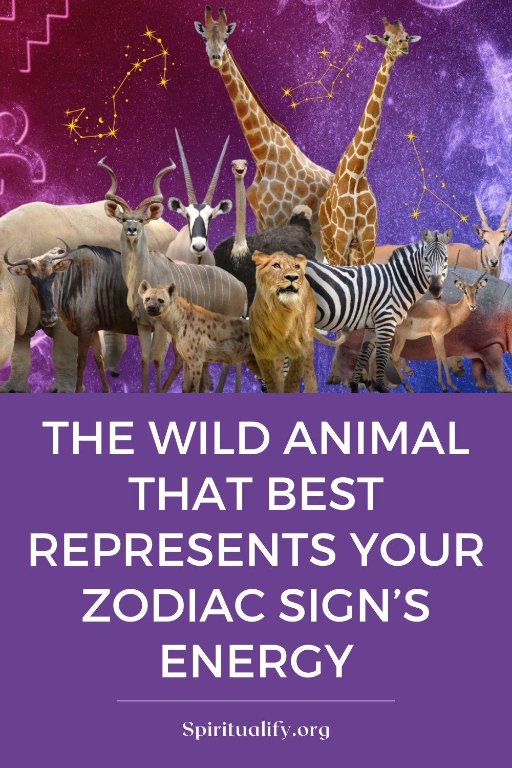 The Wild Animal That Best Represents Your Zodiac Sign’s Energy Pin