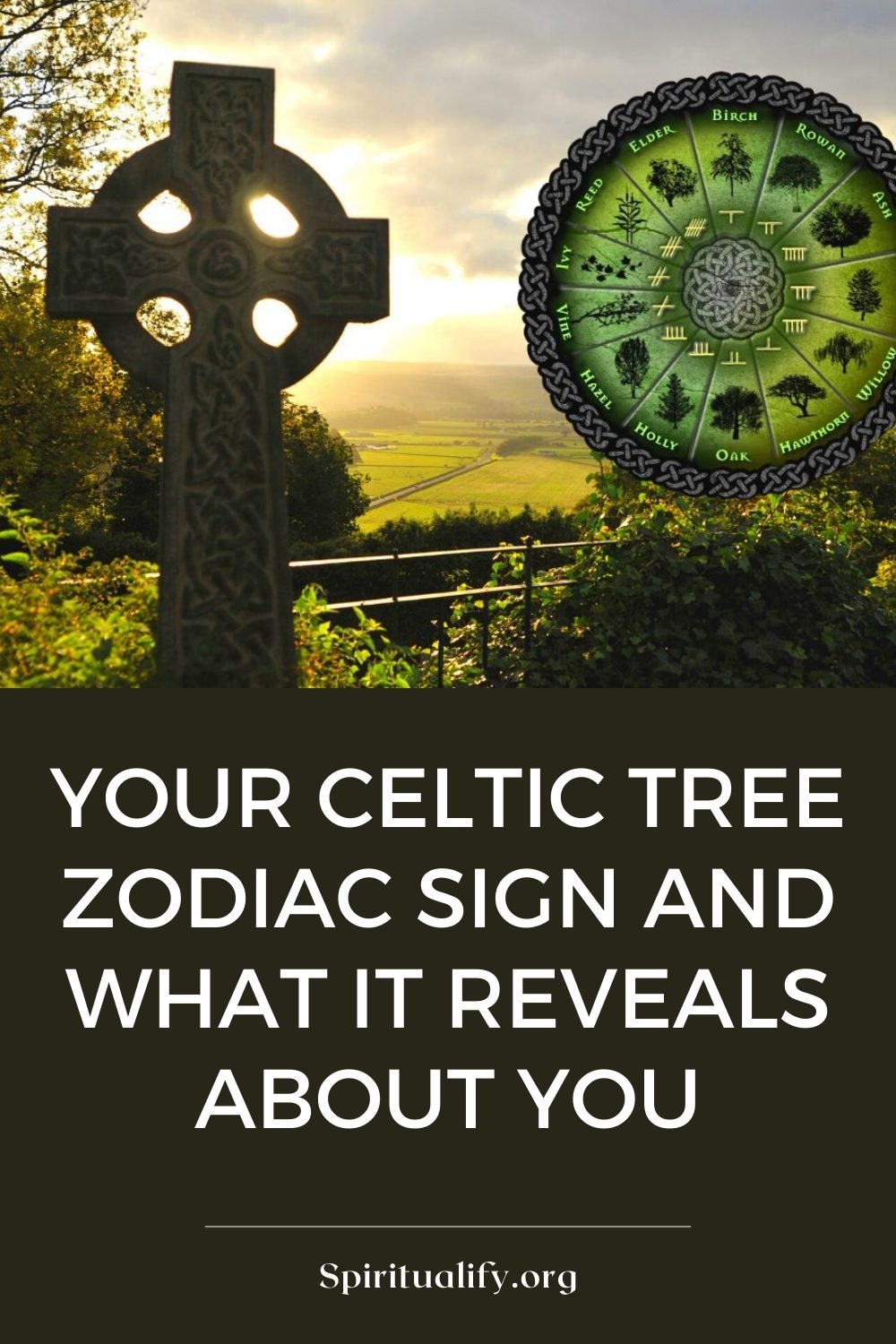 Your Celtic Tree Zodiac Sign And What it Reveals About You Pin