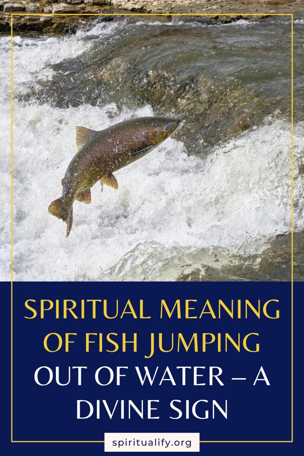 spiritual-meaning-of-fish-jumping-out-of-water-a-divine-sign